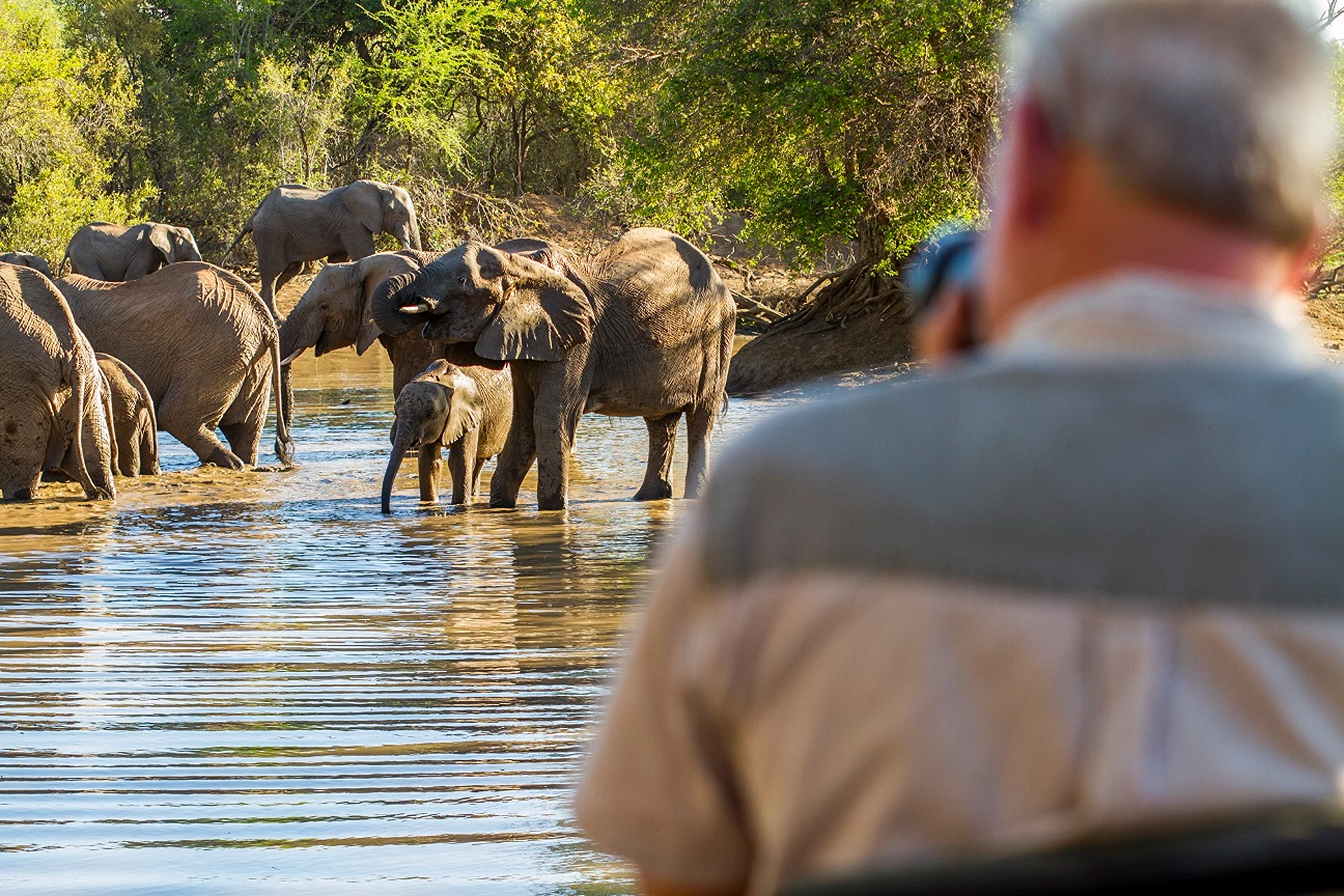 6 Day Safari Guide Experience