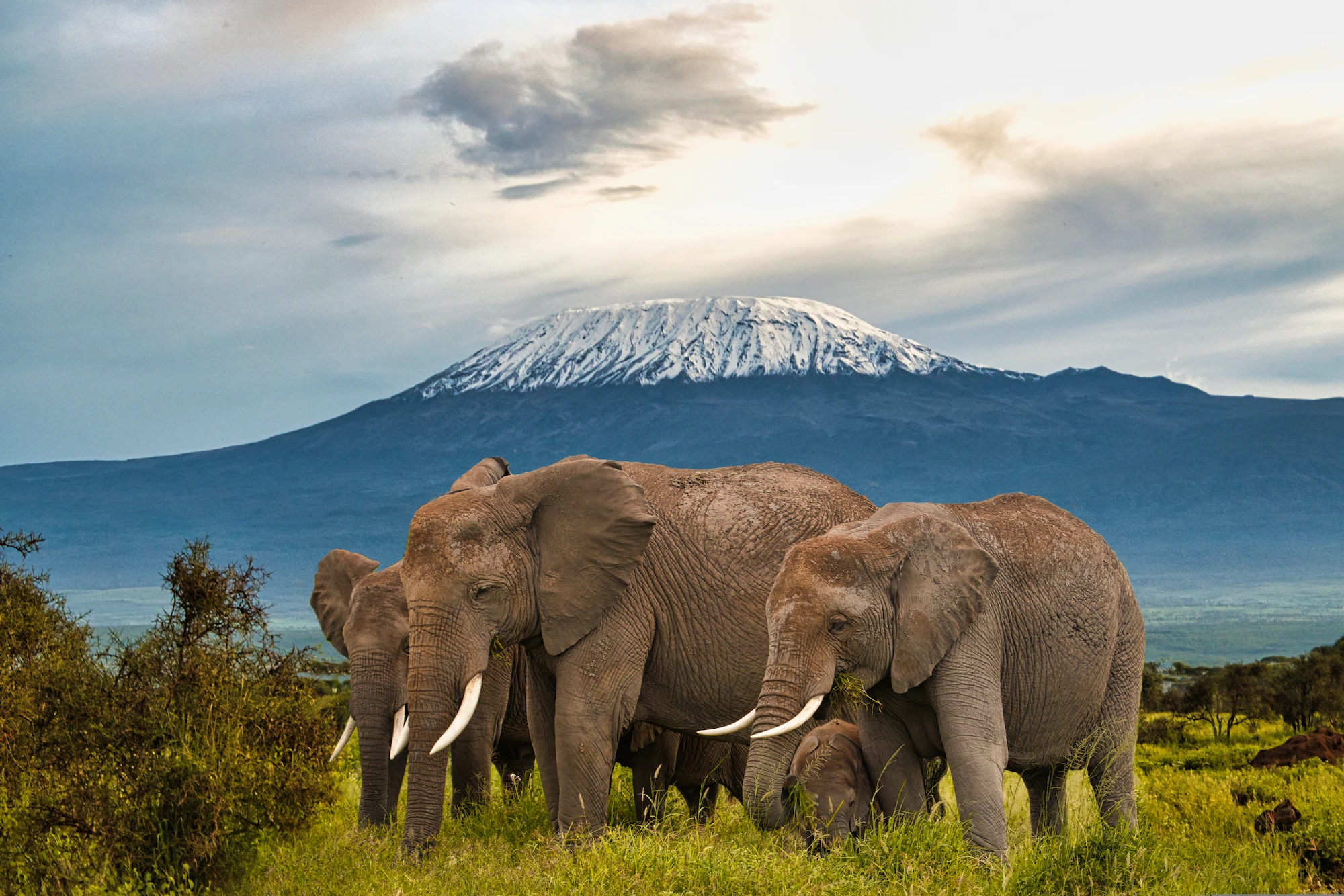 13 Day Kenya & Tanzania Accommodated Safari